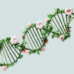 Серверы и природа - экологическое воздействие цифровых развлечений