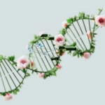 Экологические вызовы игровых автоматов 2025