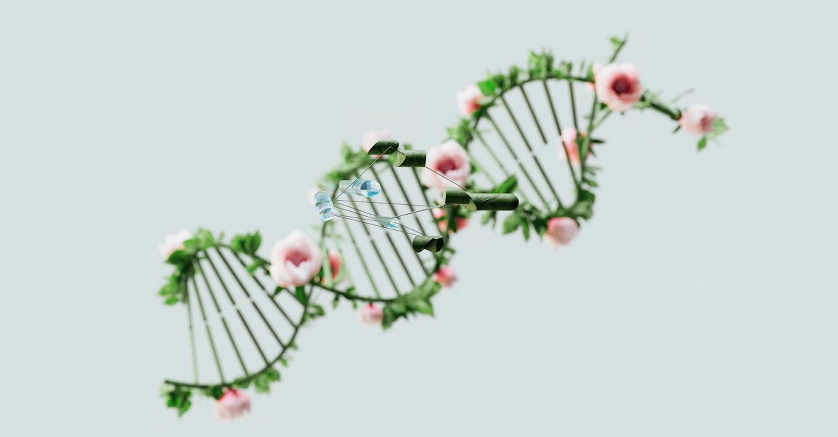 Цифровые развлечения и их влияние на экологическое сознание