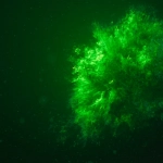 Экологические последствия азартных игр онлайн