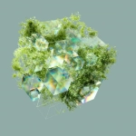 Виртуальные экосистемы в современных цифровых развлечениях