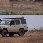 Great Rhino Deluxe игровая платформа экологического просвещения