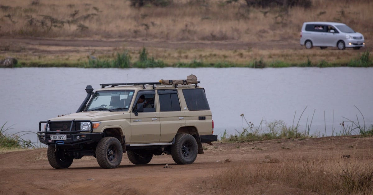 Great Rhino Deluxe игровая платформа экологического просвещения